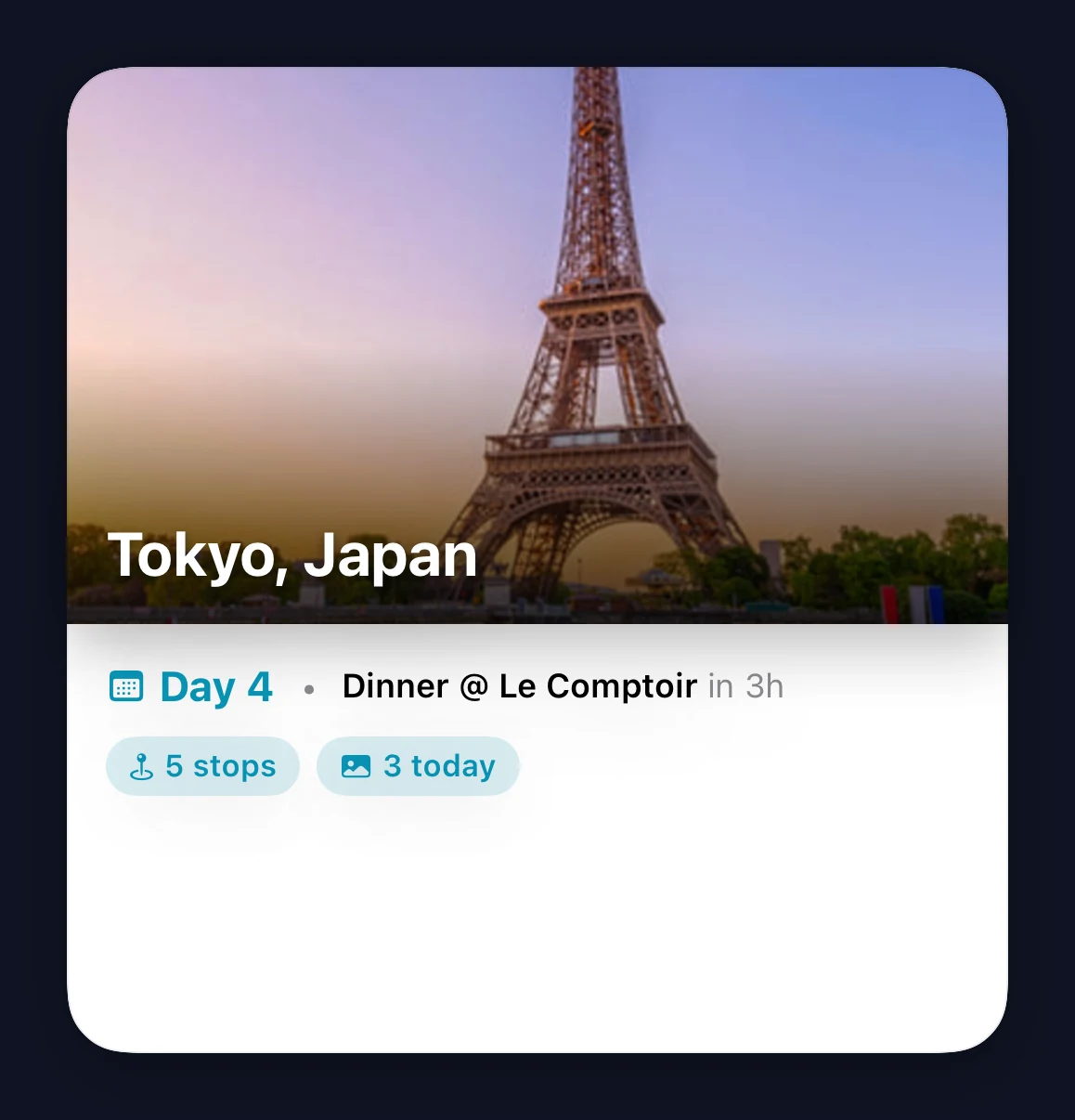 Trip large widget with embedded map