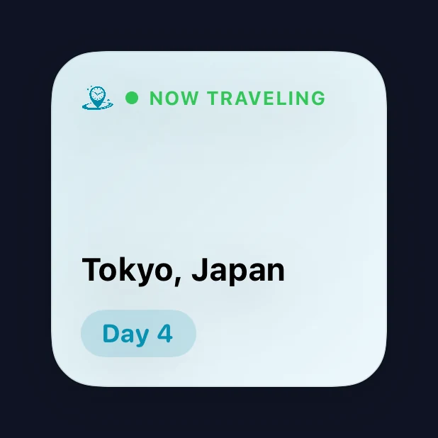 Trip small widget